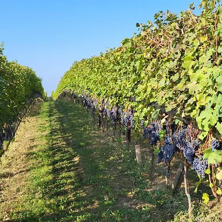 Casa Da Cristina Short Апартаменты Ла Морра