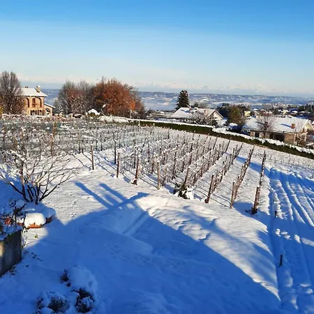 Casa Da Cristina Short