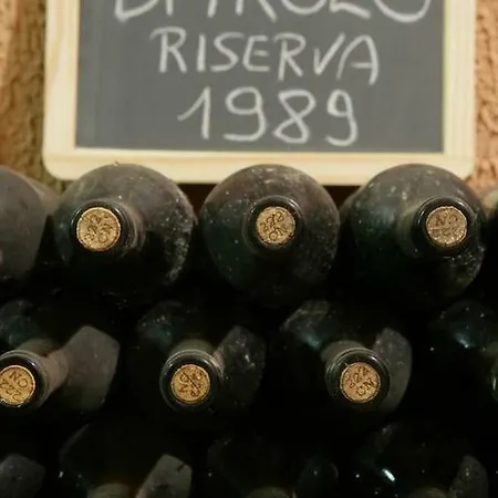 Daire Casa Da Cristina Short