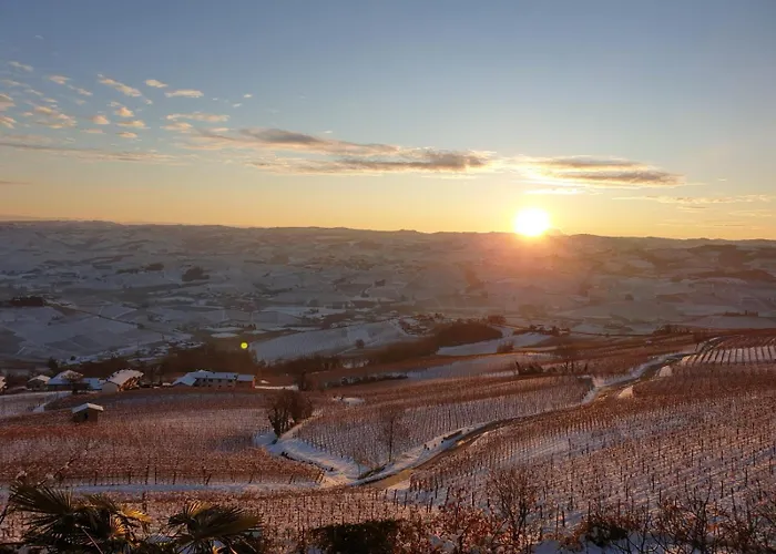Casa Da Cristina Short *