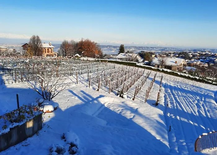 Casa Da Cristina Short