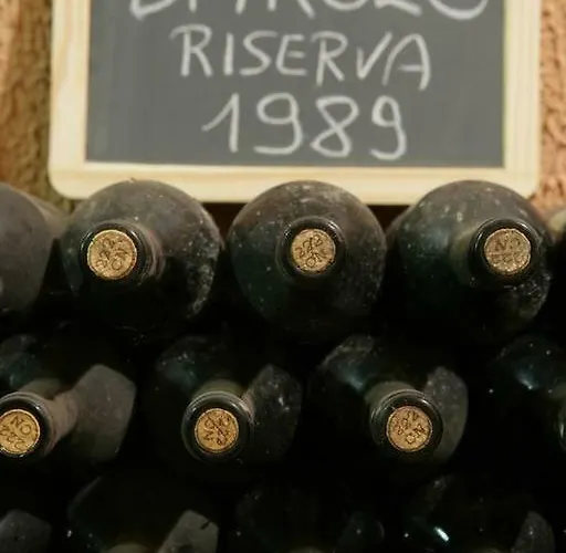 Apartment Casa Da Cristina Short